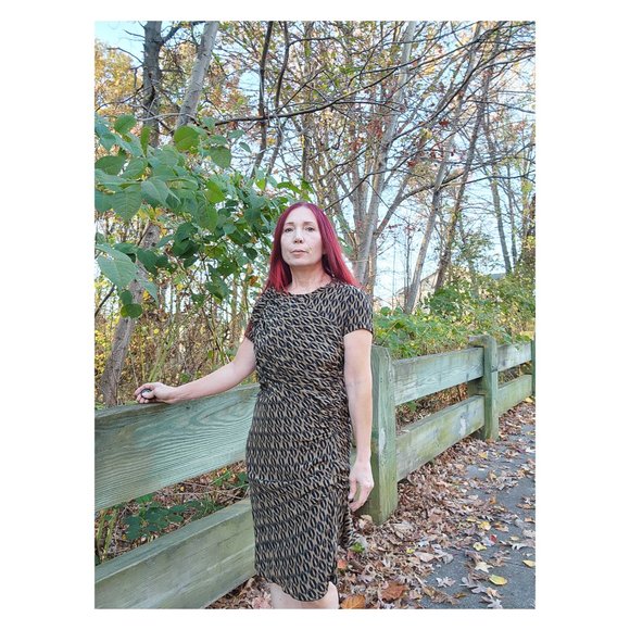 ISABEL MARANT Etoile 100% Silk Ruched Leopard Print Dress - Picture 2 of 13